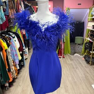 Catherine Regehr Elegant Blue Feather-Trimmed Dress size small 100% silk